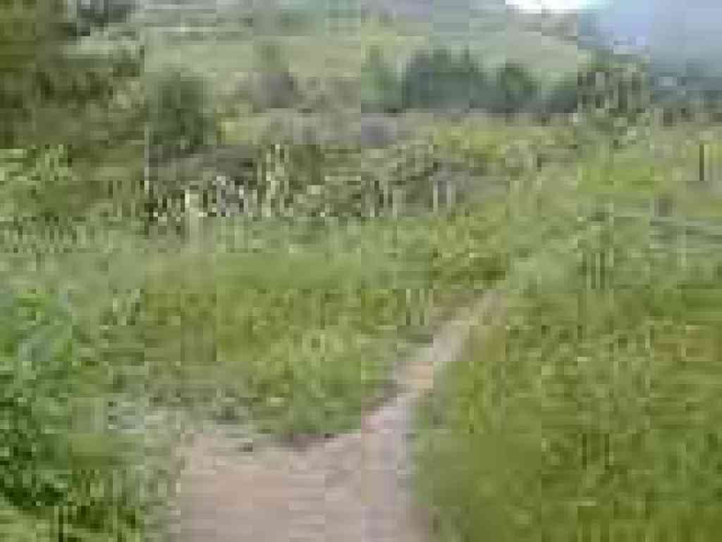 Junction