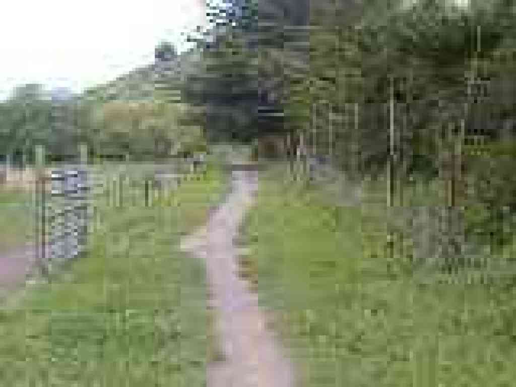 Along horse pasture
