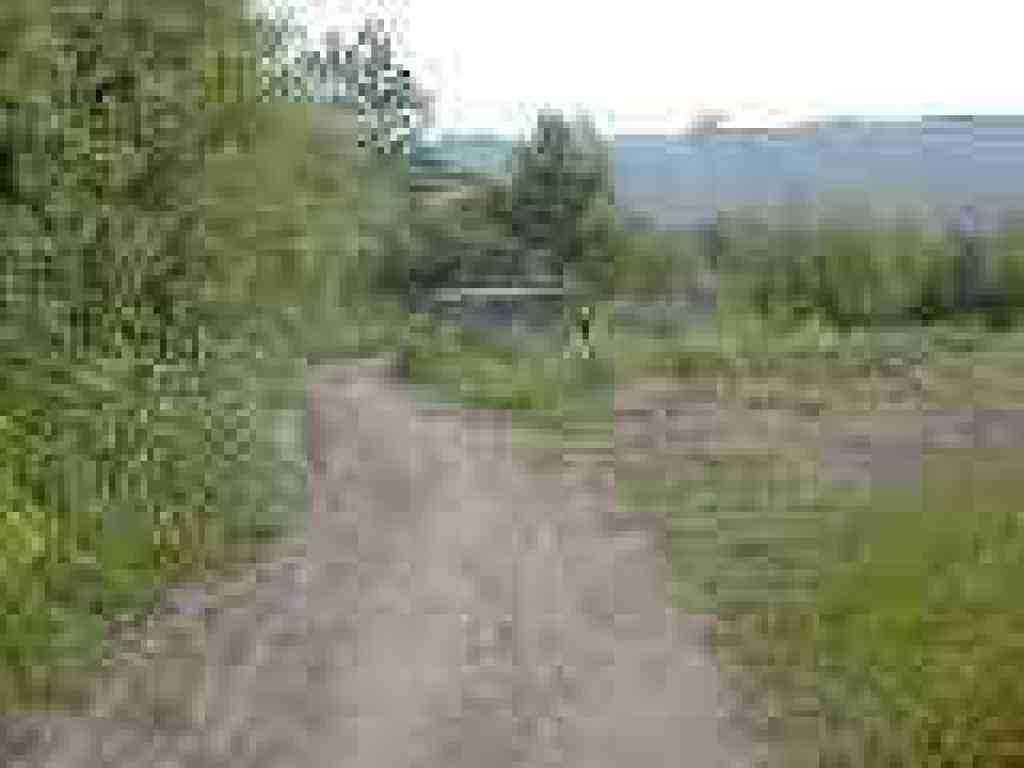 Cutting through Green Gulch Farm