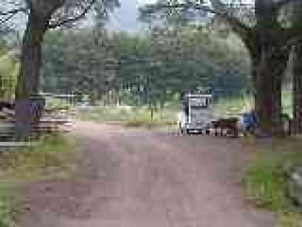 Junction