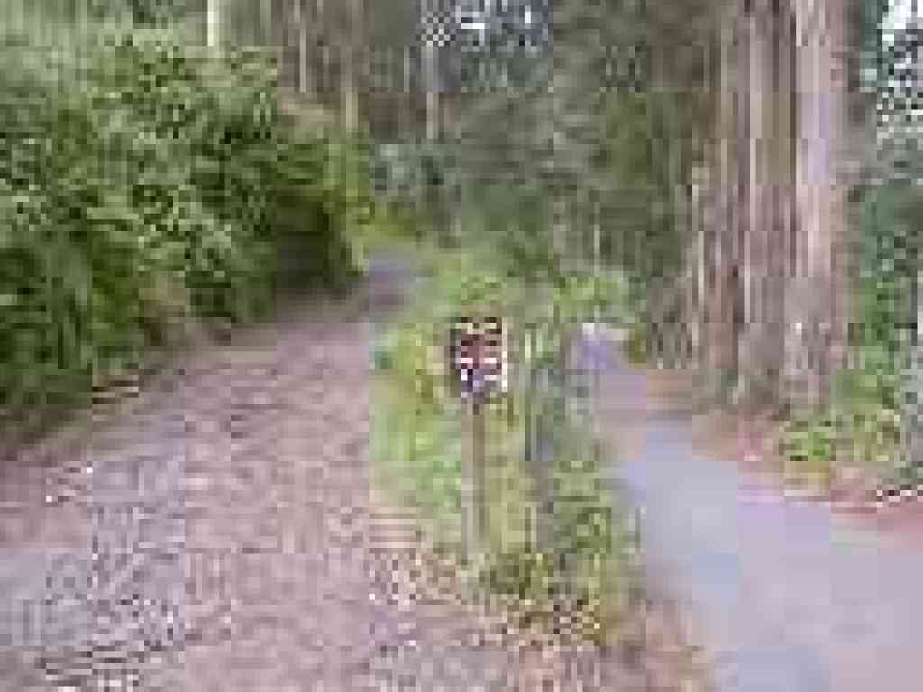 Junction