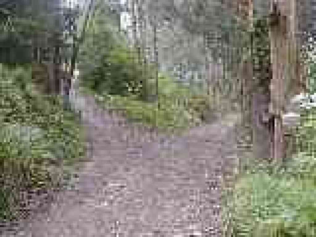 Junction