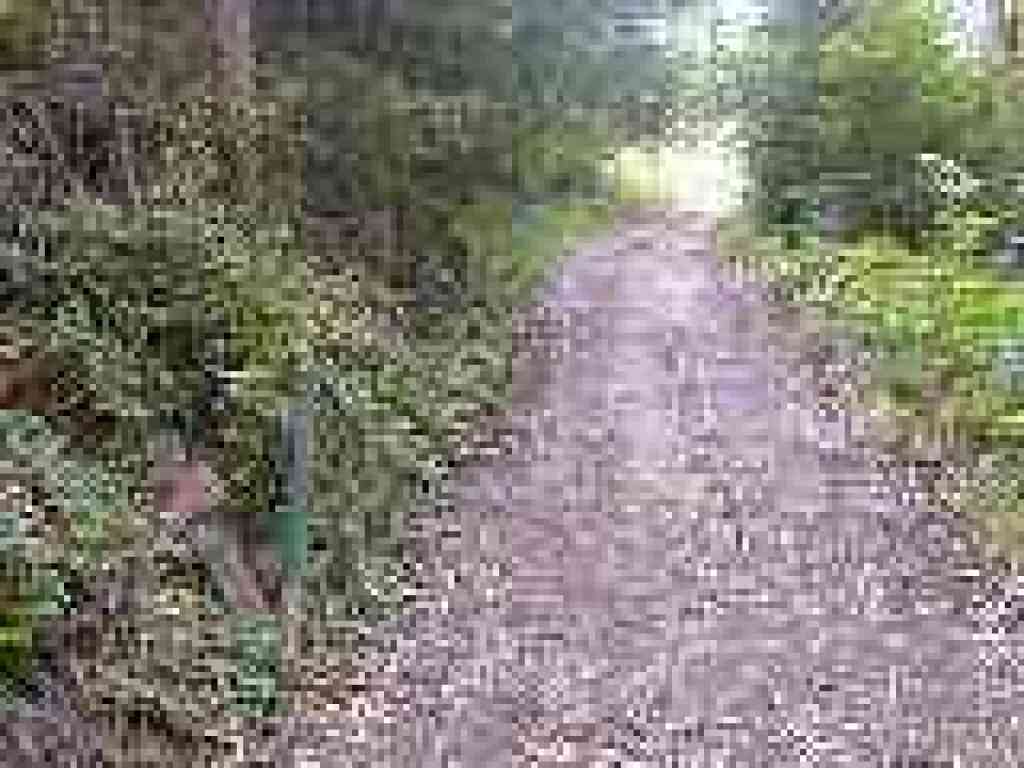 Starting uphill