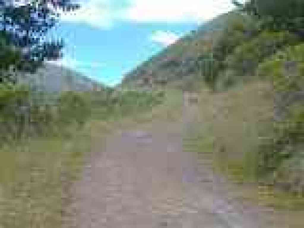 Leaving the trees behind