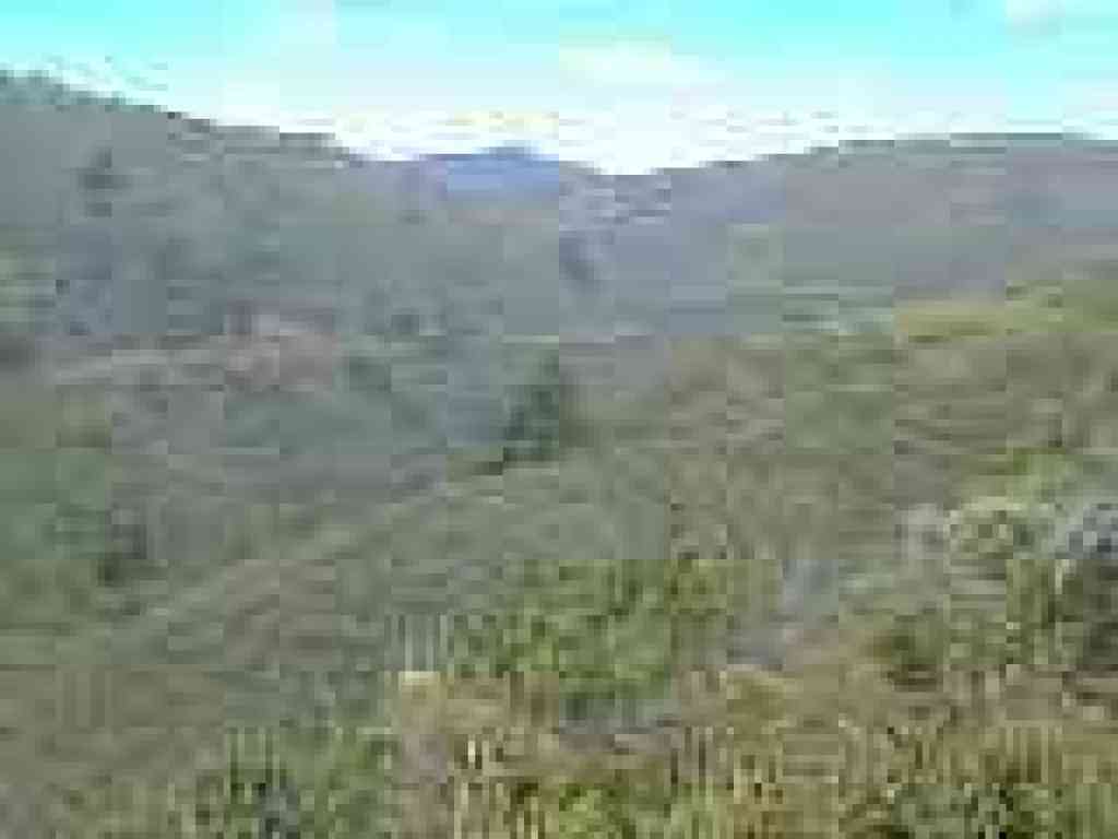 VIew to Tam