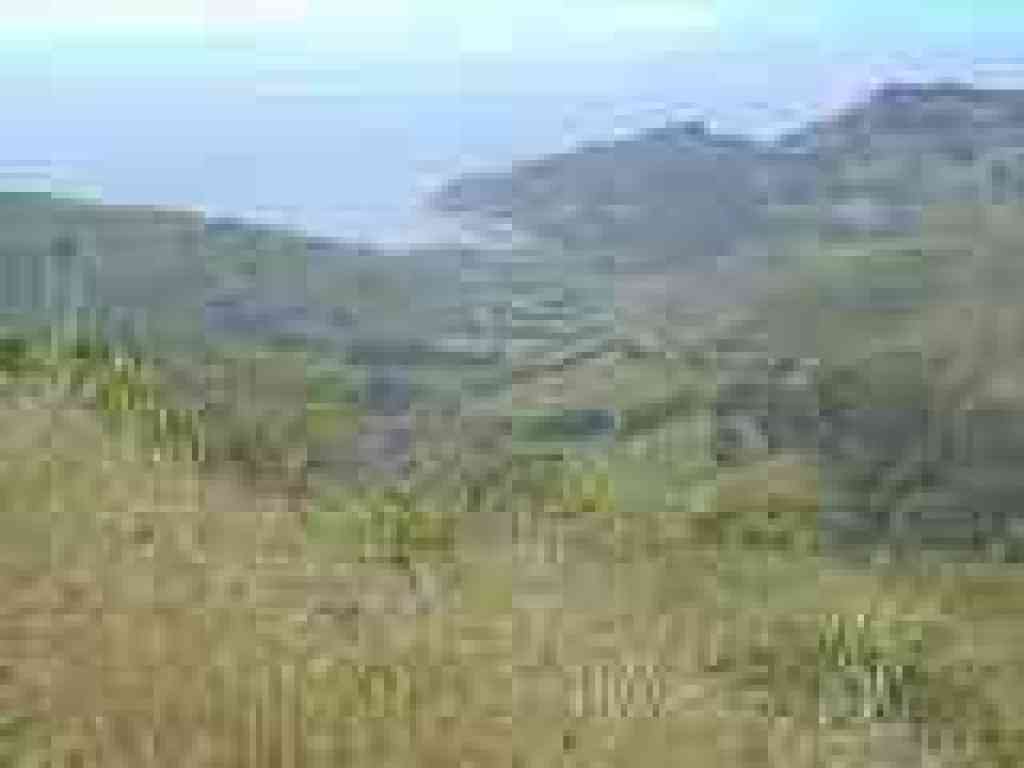 View to Green Gulch