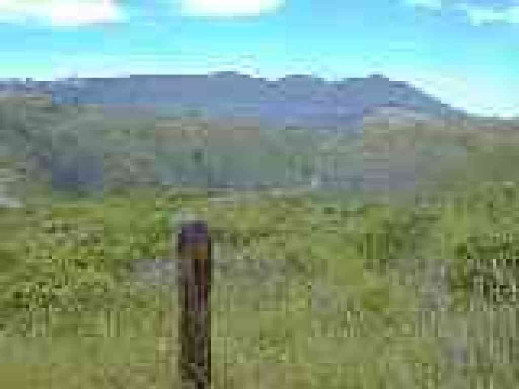 View to Tam