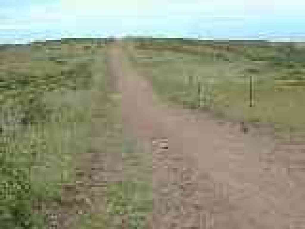 Coyote Ridge Trail