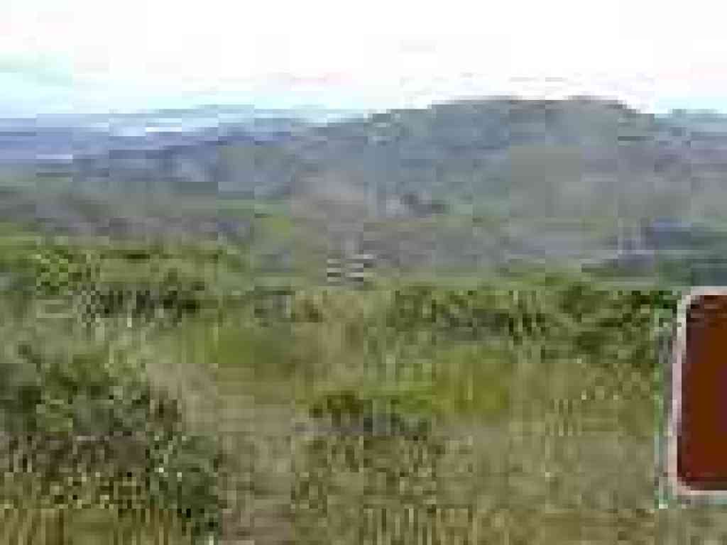View east