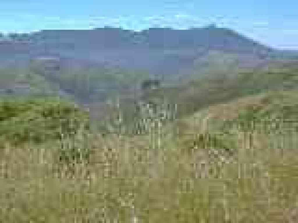 Another nice view of Tam