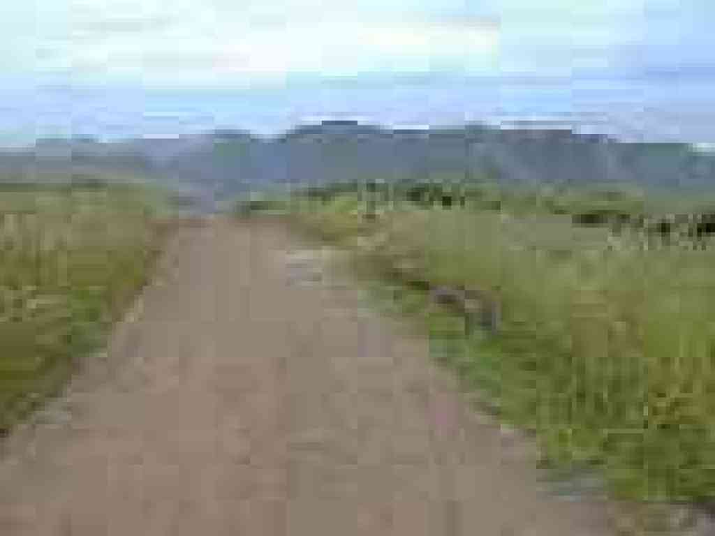 Coastal Fire Road, heading north