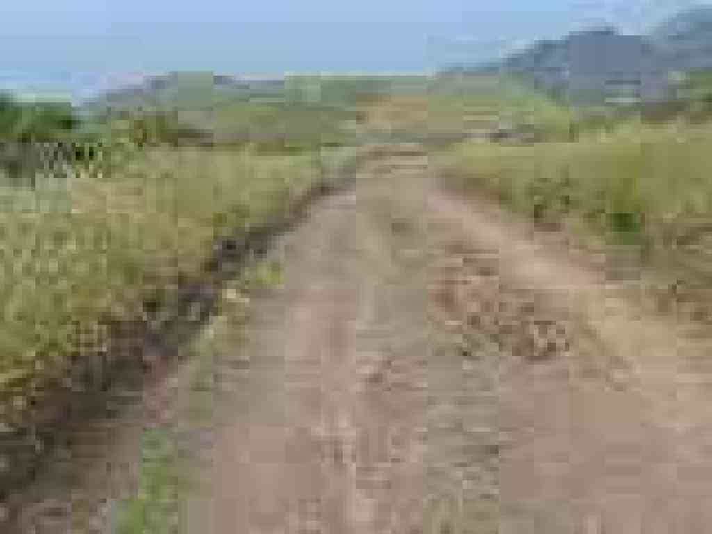 Descending