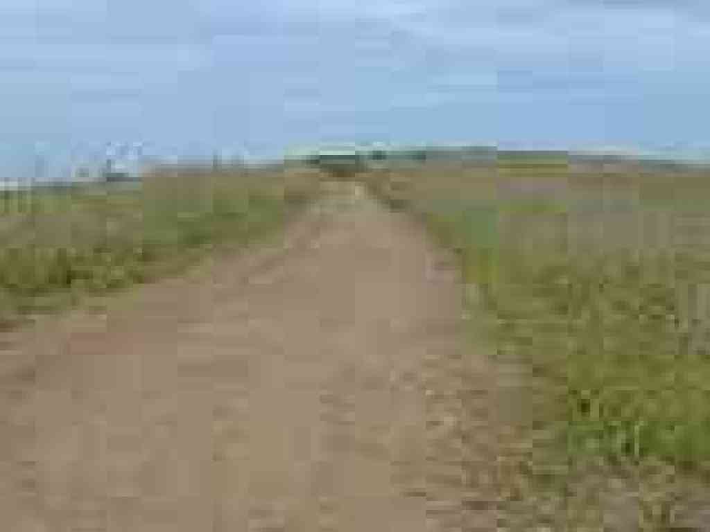Through thistles