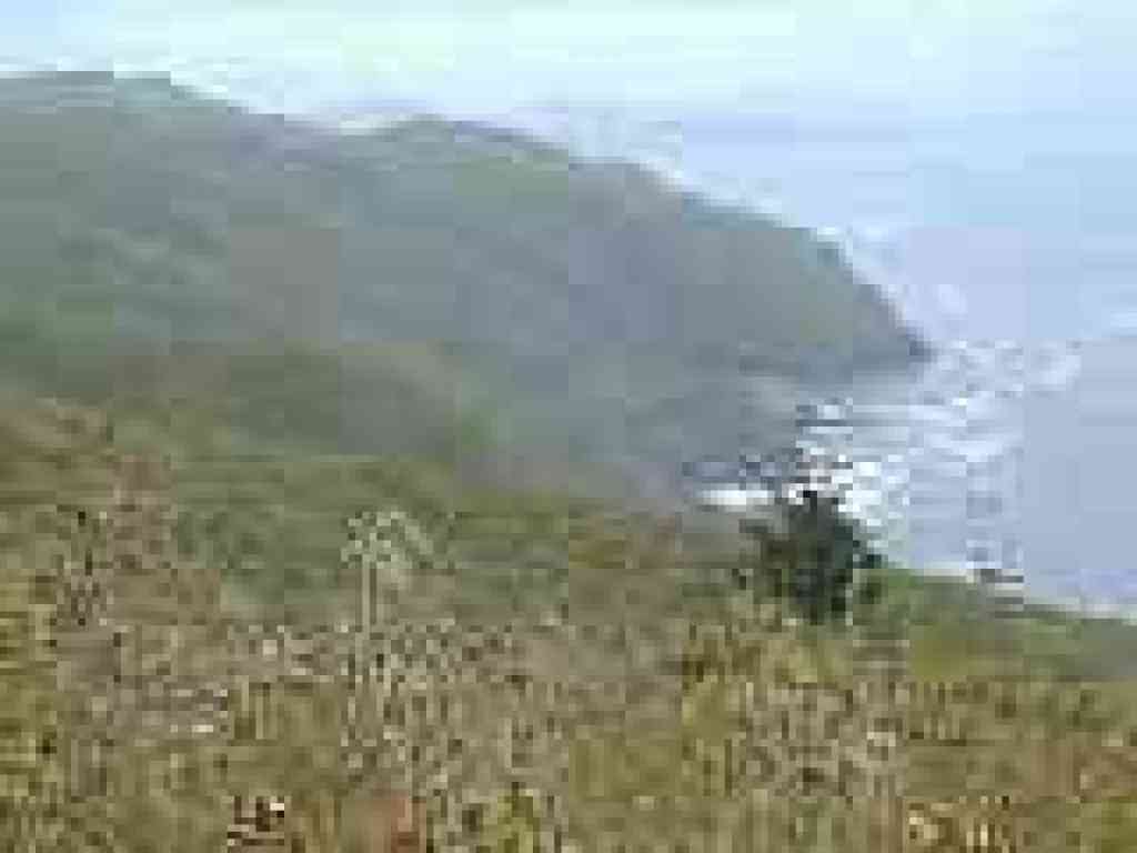 View of the coastline