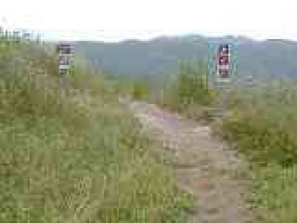 Pirate's Cove Trail