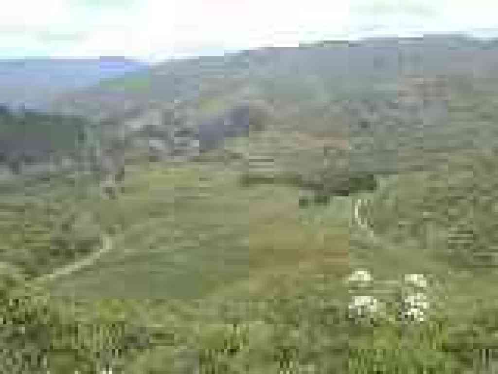 Green gulch