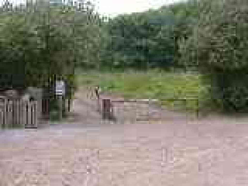 Gate