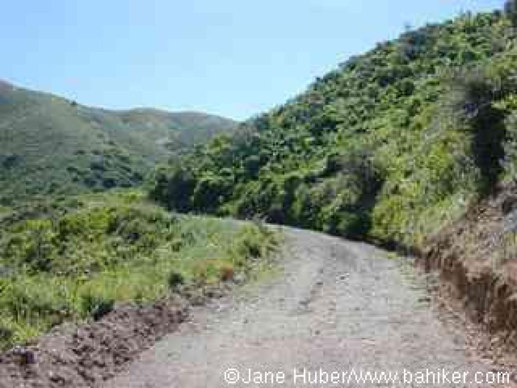 Green Gulch Trail