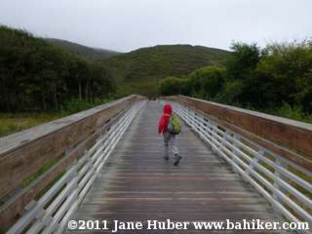 bridge