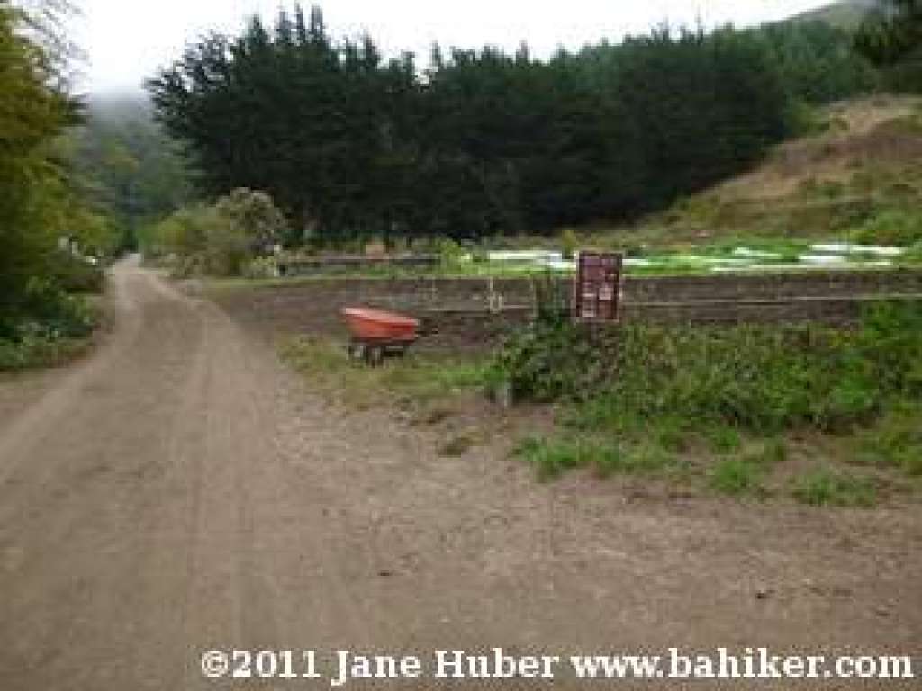 Green Gulch Farm