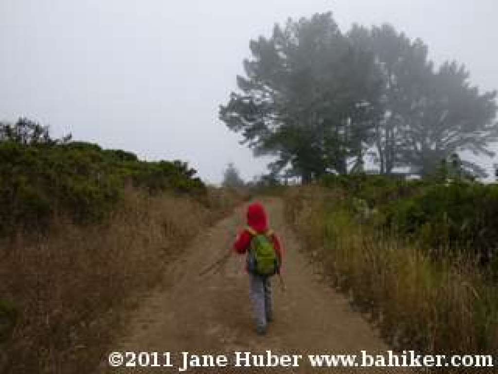 Green Gulch Trail