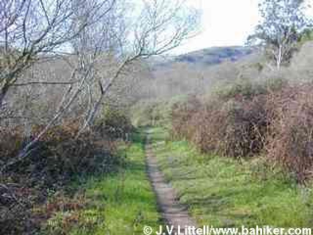Redwood Creek Trail
