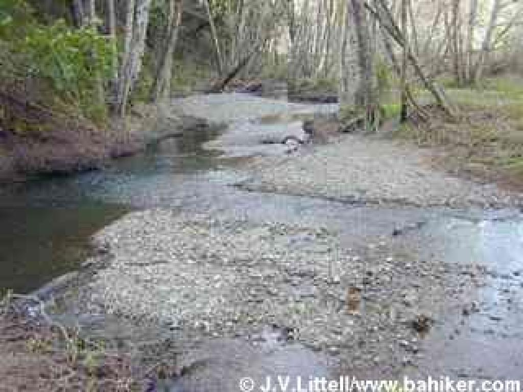 Crossing Redwood Creek