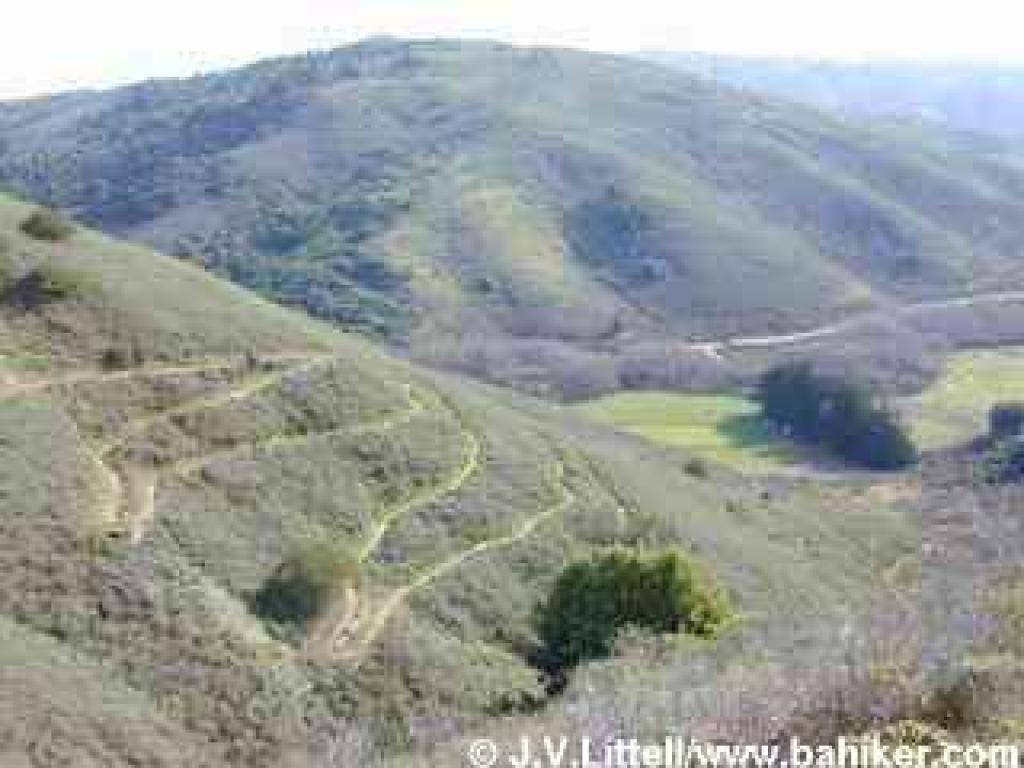 Looking back down to Heather Cutoff