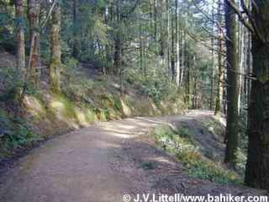 Deer Park Fire Road