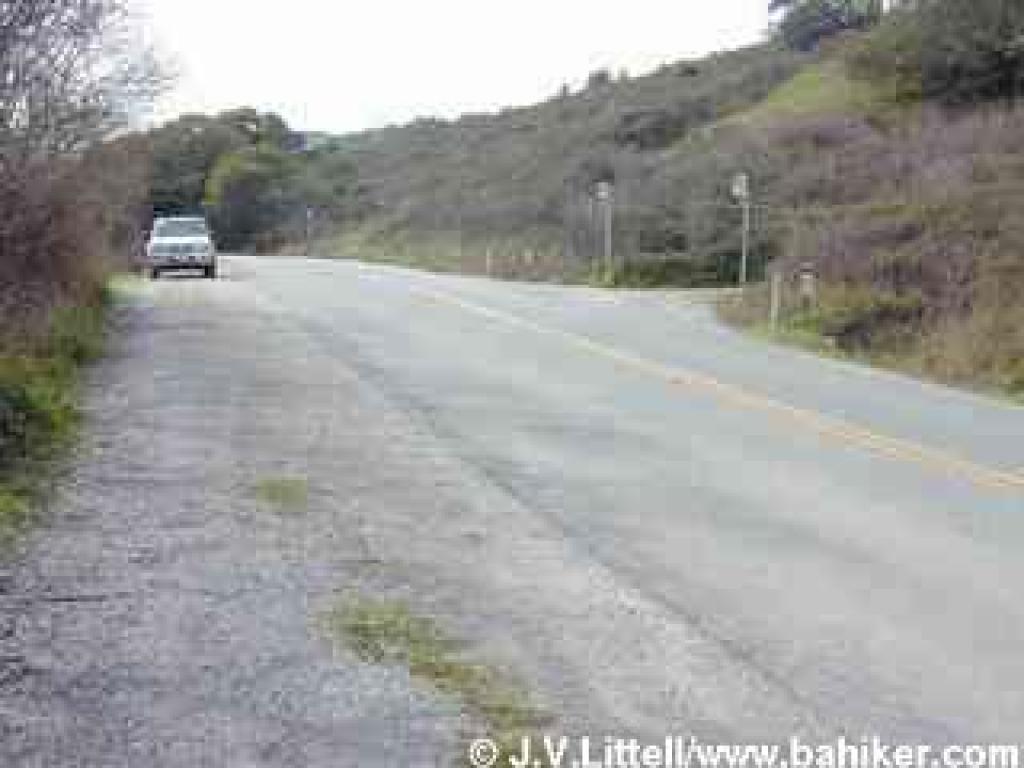 Roadside parking along Muir Woods Road