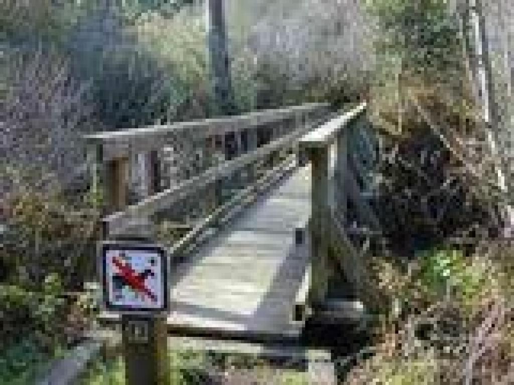 Bridge