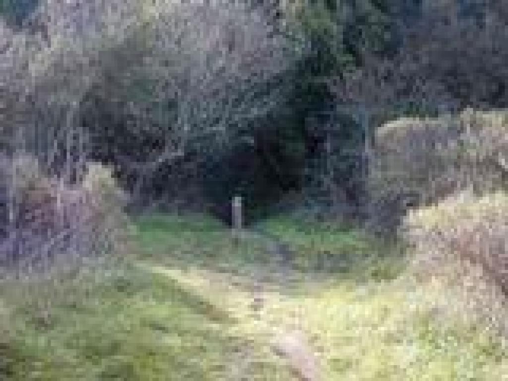 Junction