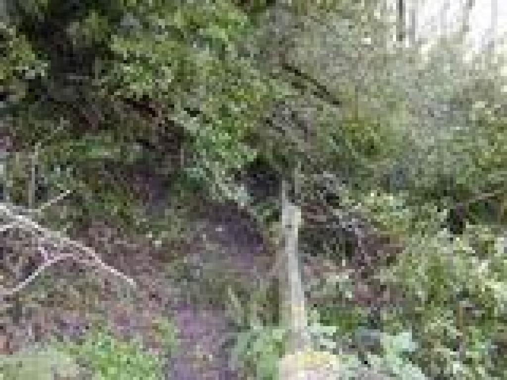 Trail is blocked