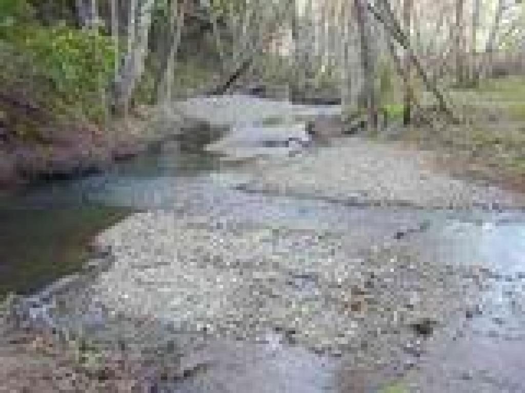 Creek crossing