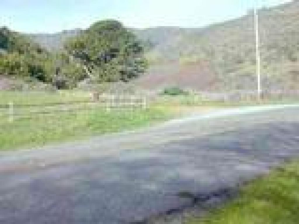 Road crossing
