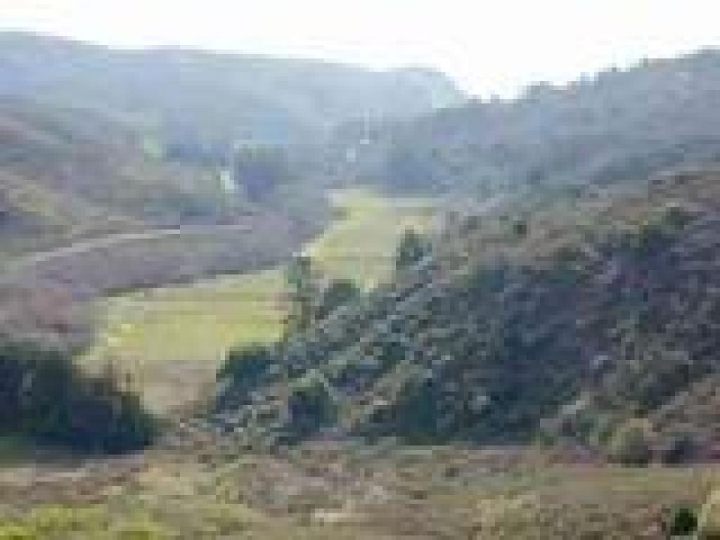 View back downhill
