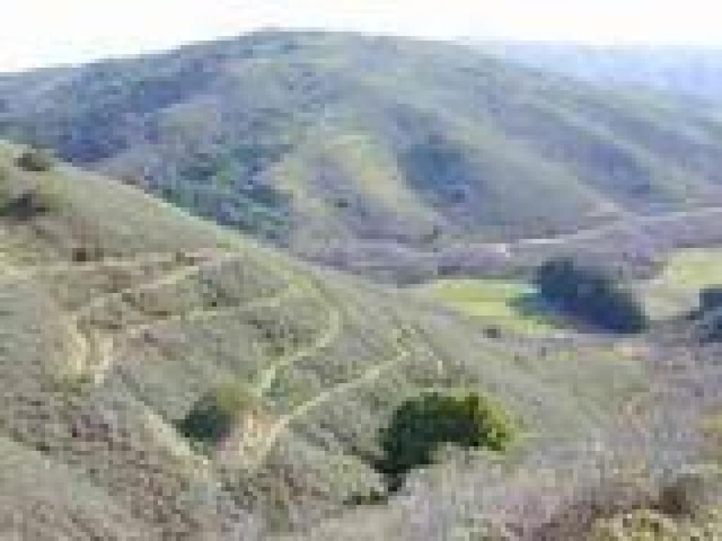 View back downhill