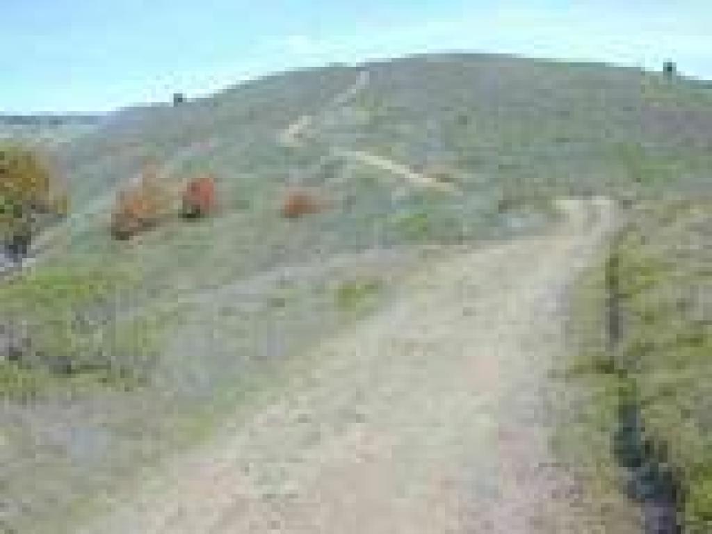 Coastal Fire Road