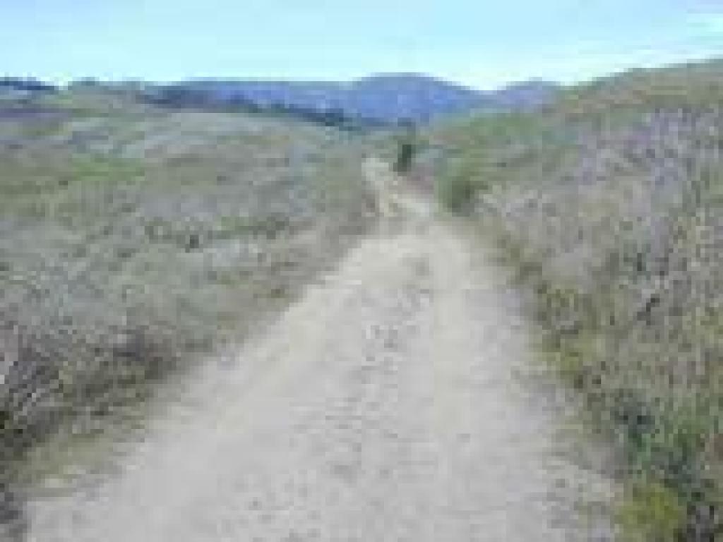 Tam in the distance
