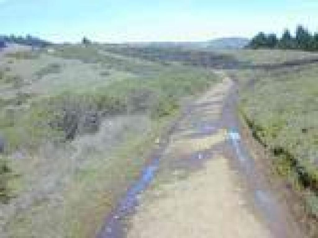 Coastal Fire Road