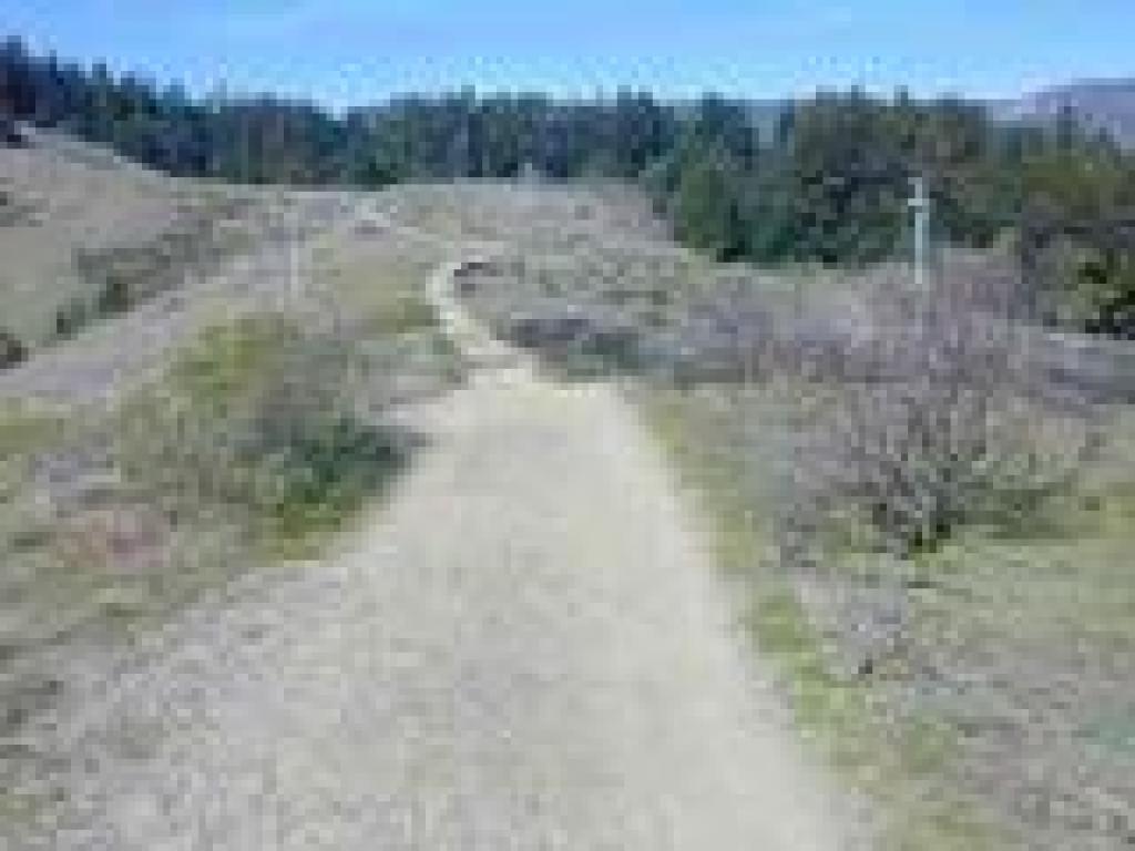 Approaching trees