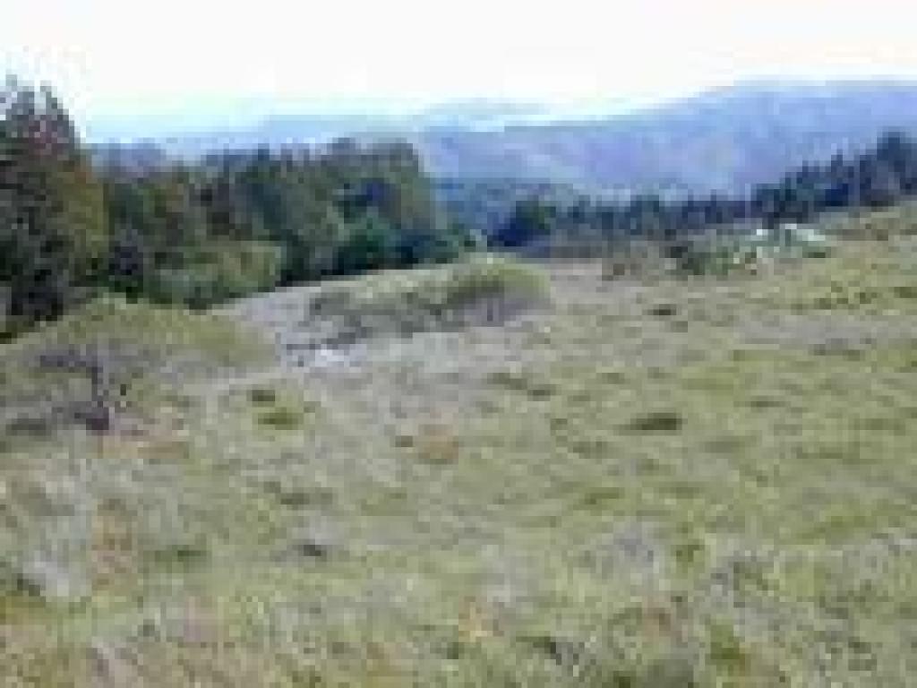 View south
