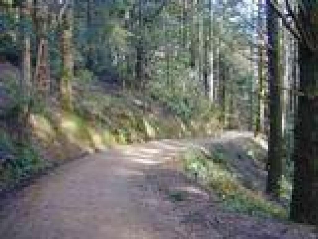Deer Park Fire Road