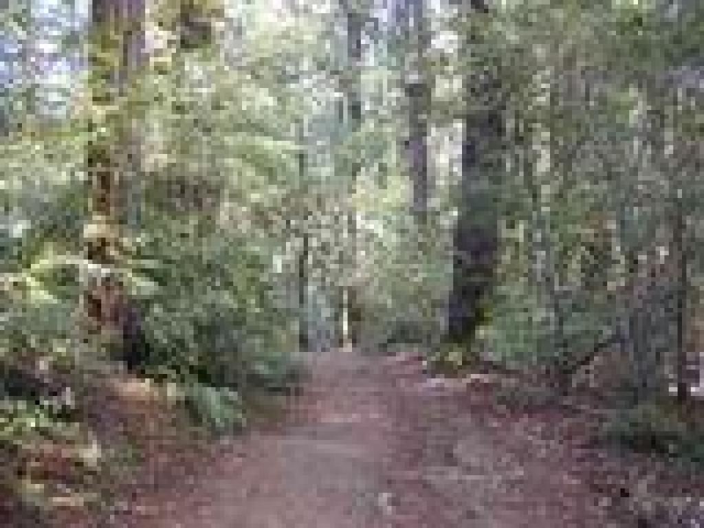 Deer Park Fire Road