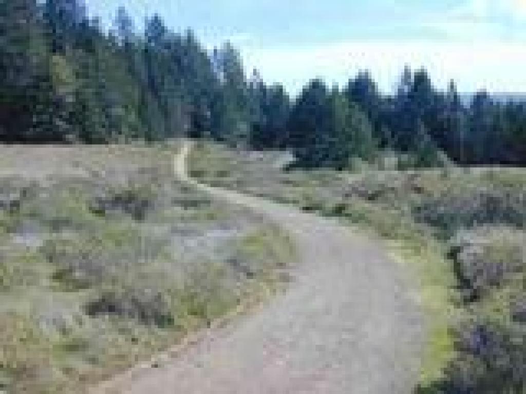 Deer Park Fire Road