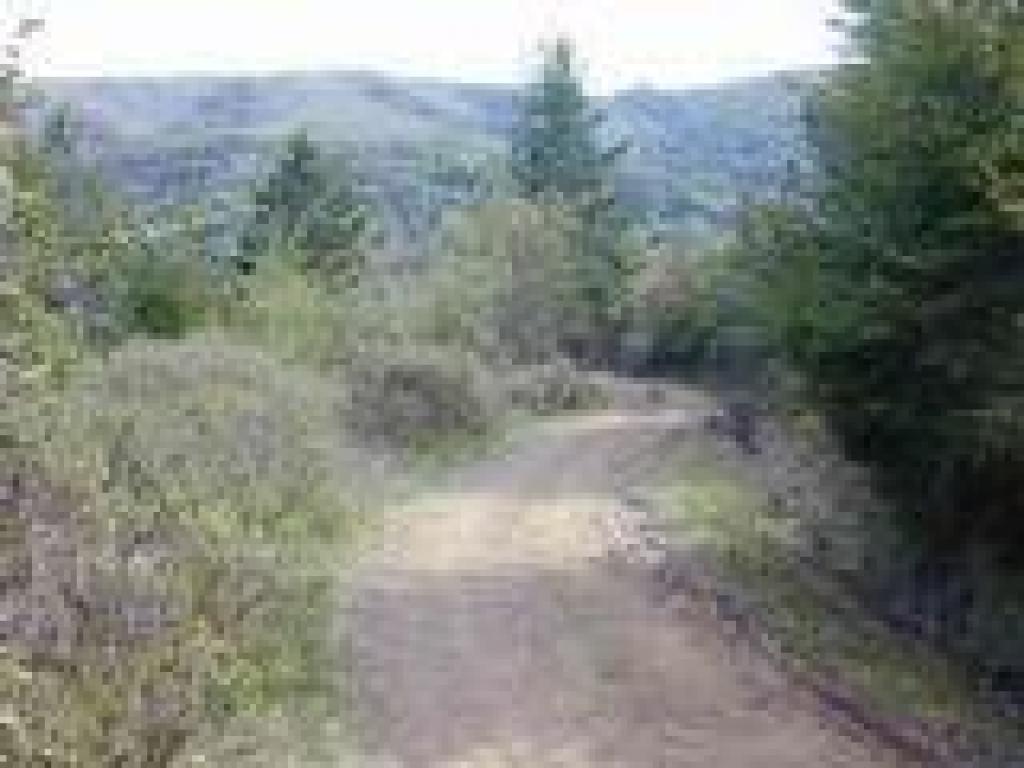 Deer Park Fire Road