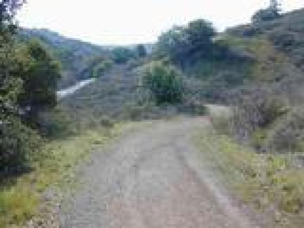 Approaching the road