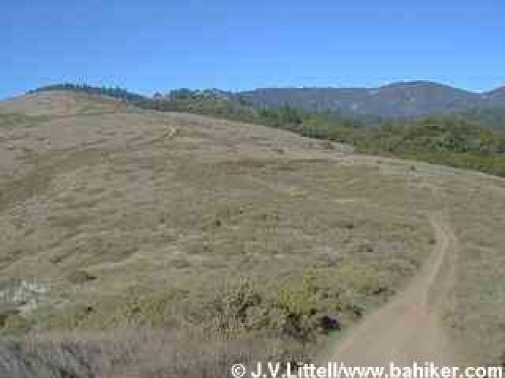 Coastal Trail