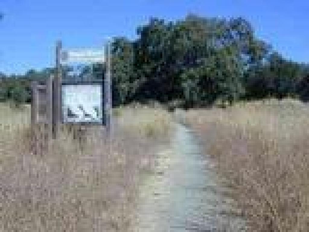 Interpretive displays