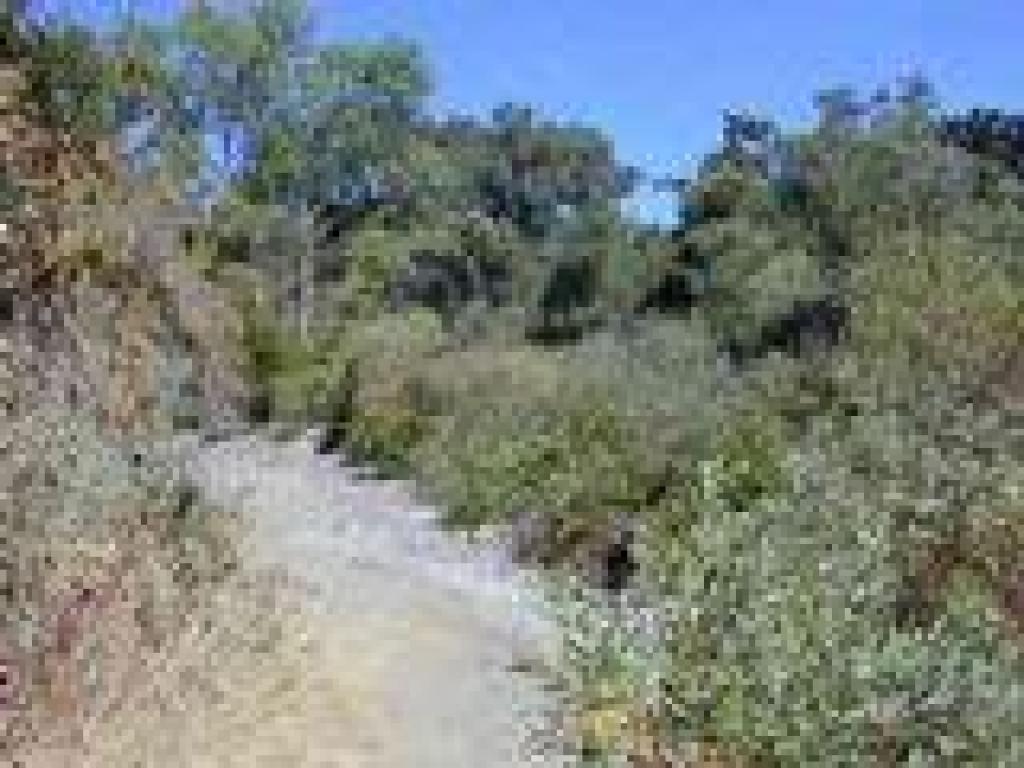 Rocky ledge above the river